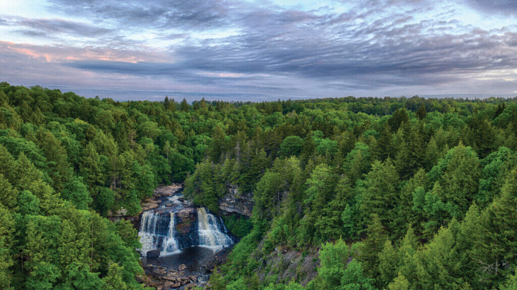 Top or Best YouTube Management Agencies and Companies in Cross Lanes, West Virginia
