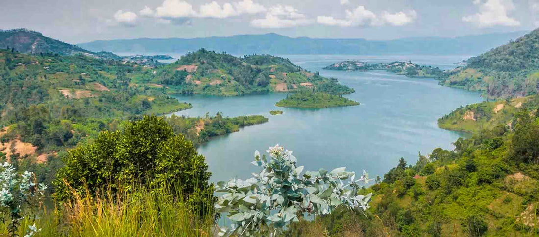Top or Best Athlete Management Agencies and Companies in DR Congo