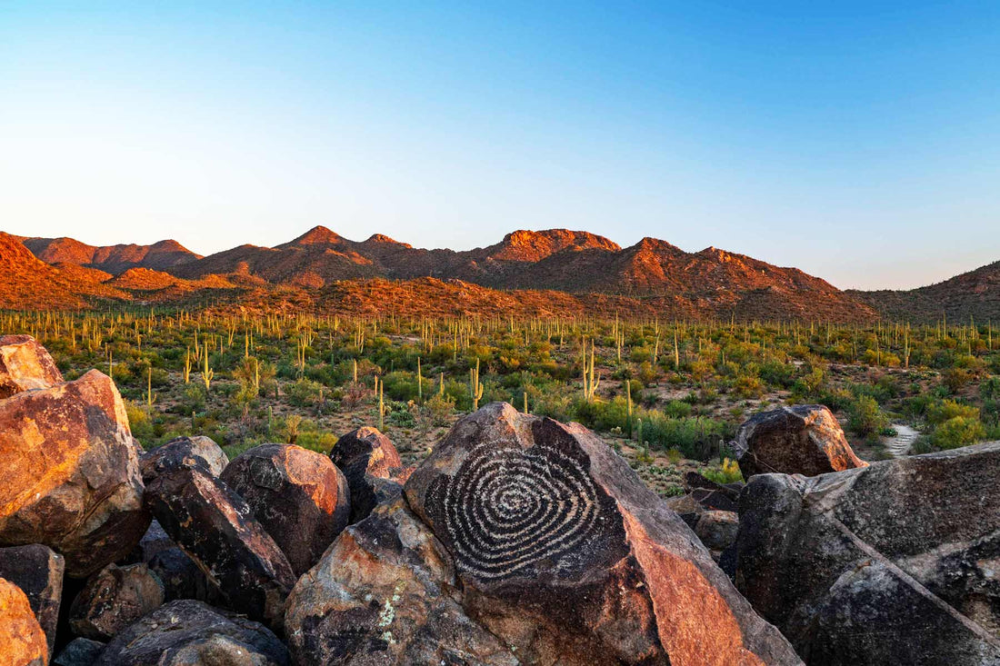 Top or Best Catalog Design Agencies and Companies in Phoenix, Arizona