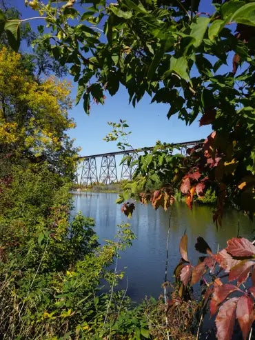 Top or Best LinkedIn Management Agencies and Companies in Jamestown, North Dakota