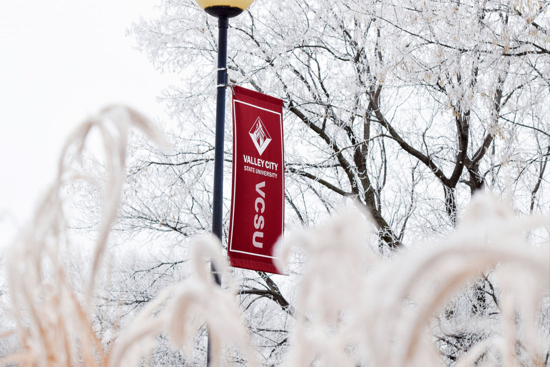 Top or Best LinkedIn Management Agencies and Companies in Valley City, North Dakota