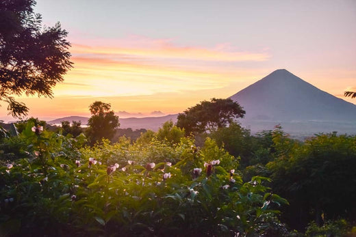 Top 5 Photography and Photo Editing Agencies in Nicaragua