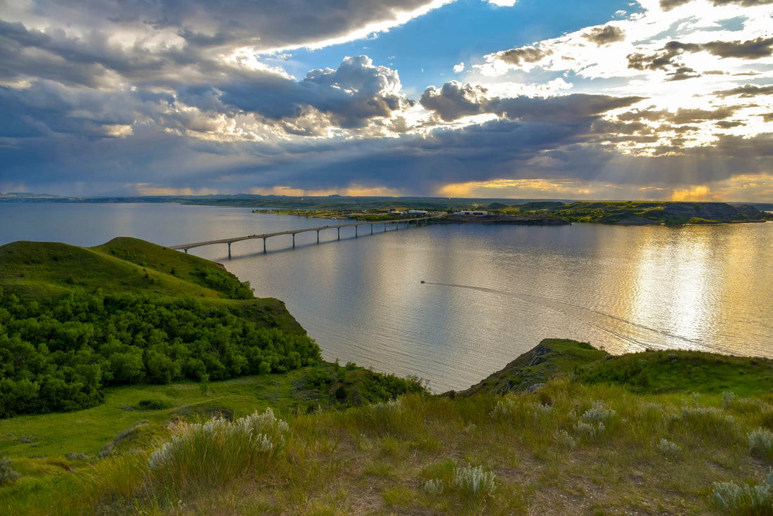 Top or Best Logo Animation Agencies and Companies in New Town, North Dakota