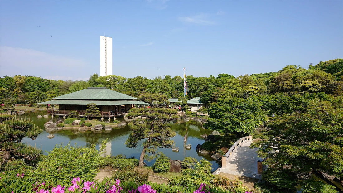 Top or Best Athlete Agency Agencies and Companies in Sakai, Japan