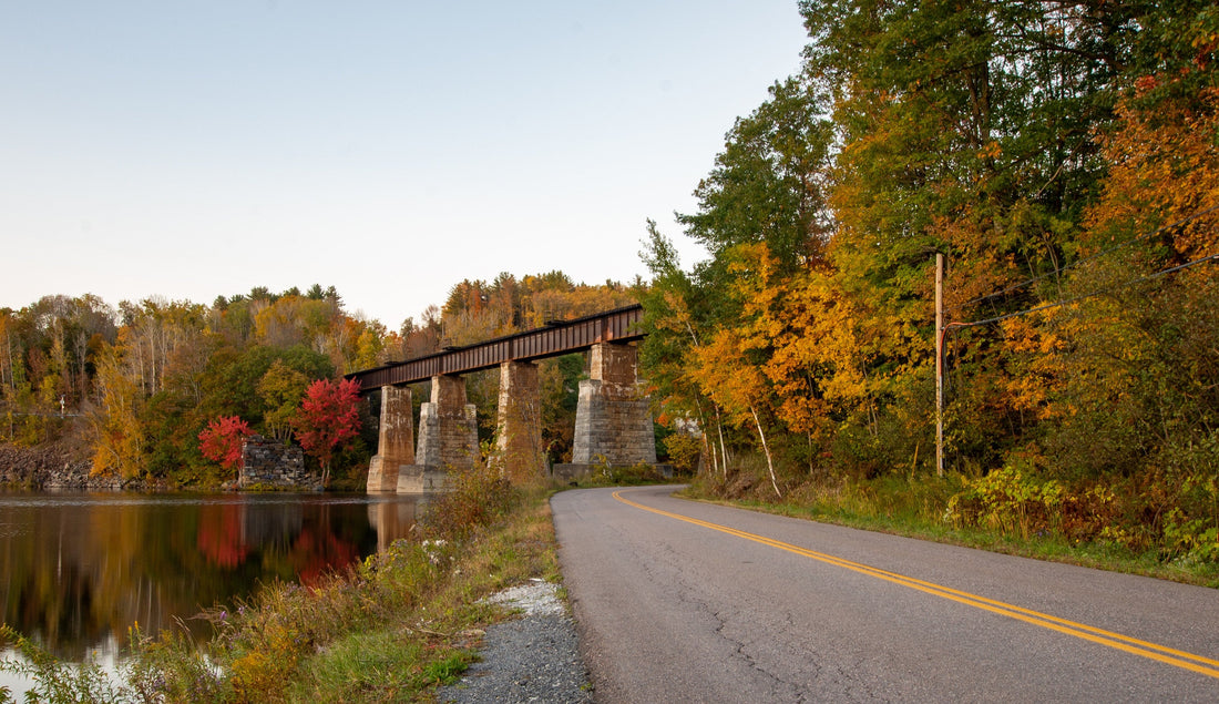 Top or Best Infographic Design Agencies and Companies in Milton, Vermont