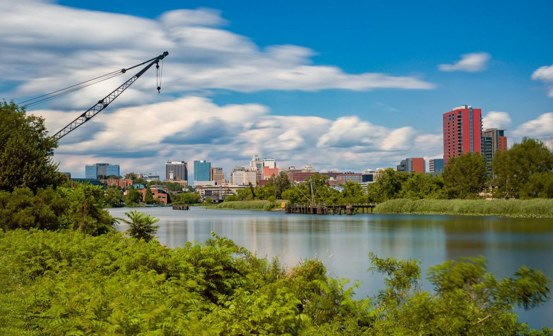 Top or Best Flyer Design Agencies and Companies in Wilmington, Delaware