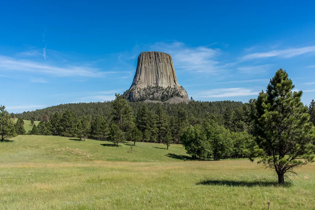 Top or Best Poster Design Agencies and Companies in Buffalo, Wyoming