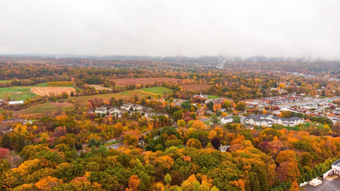 Top or Best Banner Ad Agencies and Companies in Manchester, Connecticut