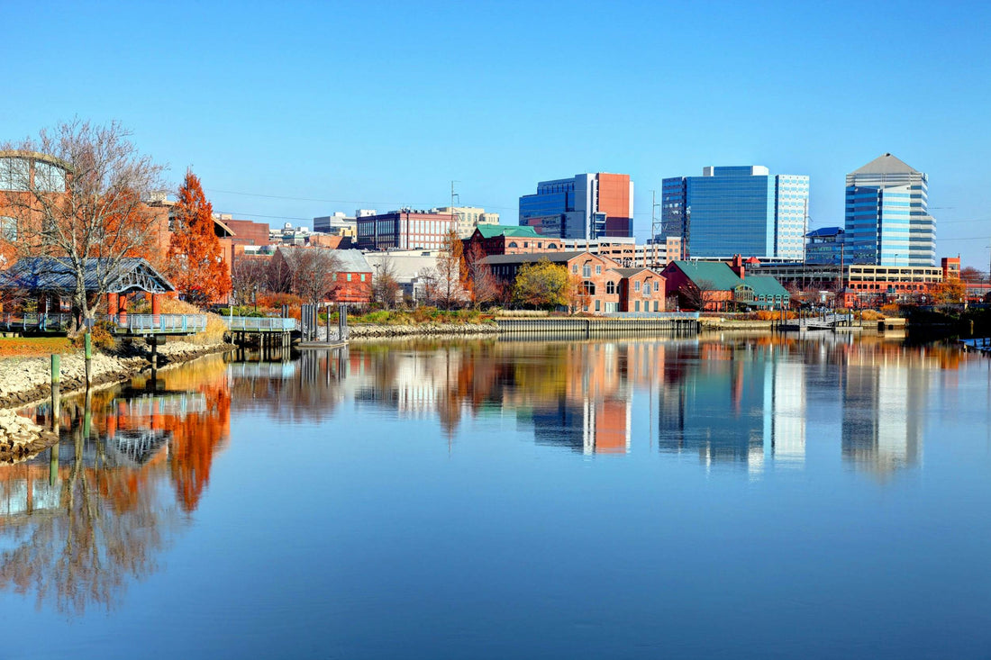 Best Portraits & Caricatures Companies in Delaware