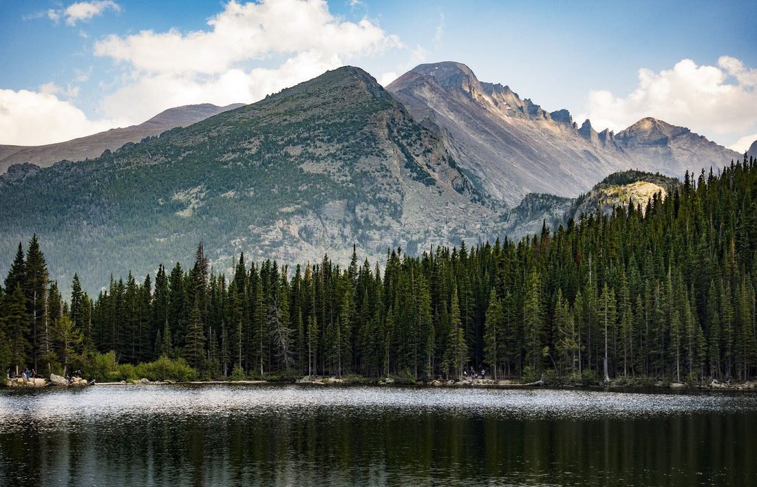 Top or Best Cartoons & Comics Agencies and Companies in Denver, Colorado