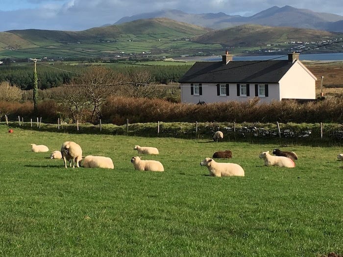 Top or Best Influencer Brand Partnership Agencies and Companies in Ireland