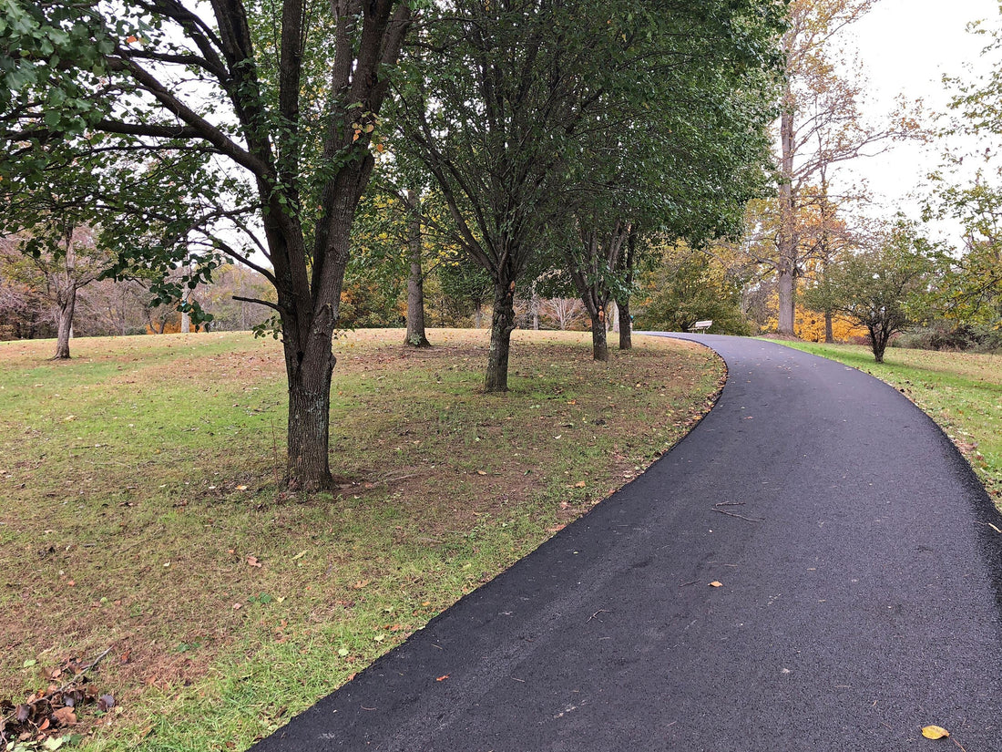 Top or Best Flyer Design Agencies and Companies in Vienna, West Virginia