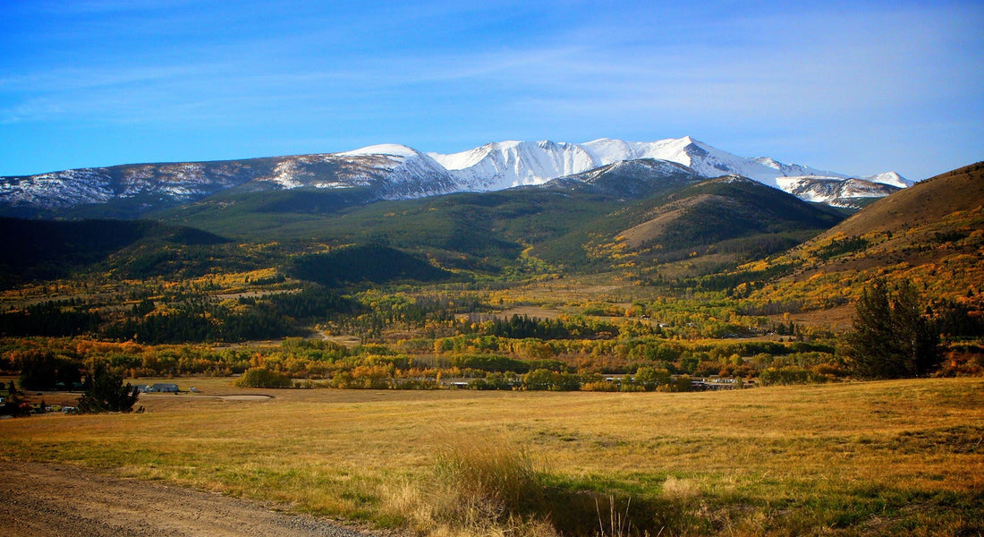 Top or Best Brand Identity Package Agencies and Companies in Anaconda-Deer Lodge County, Montana