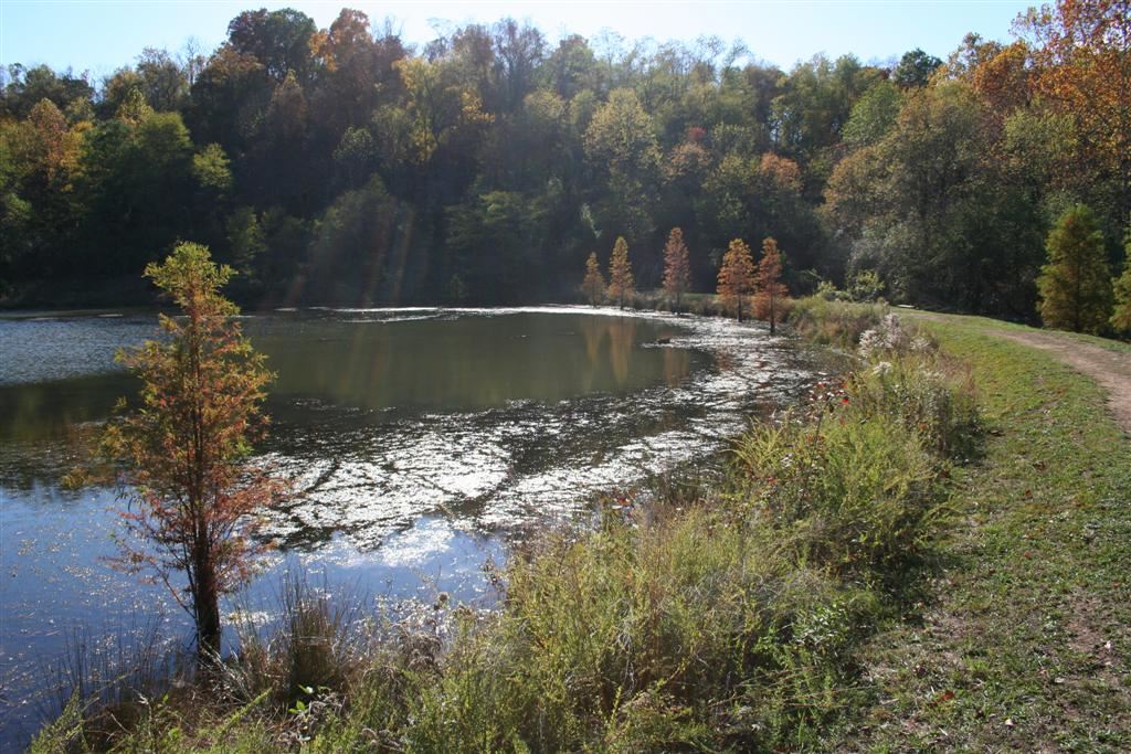 Top or Best Storyboards Agencies and Companies in Vienna, West Virginia