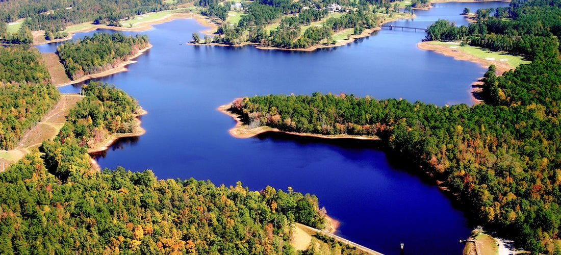 Top or Best NFT Art Agencies and Companies in Opelika, Alabama