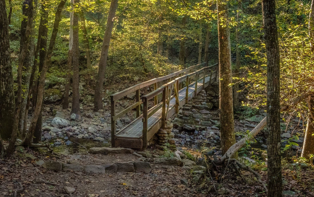 Top or Best Logo Design Agencies and Companies in Jacksonville, Arkansas