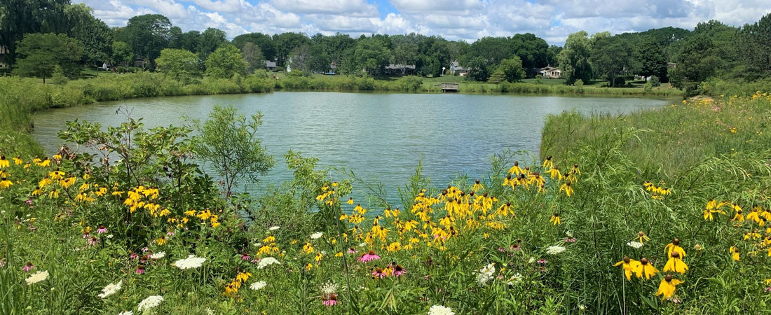 Top or Best Social Media Management Agencies and Companies in Brookfield, Wisconsin