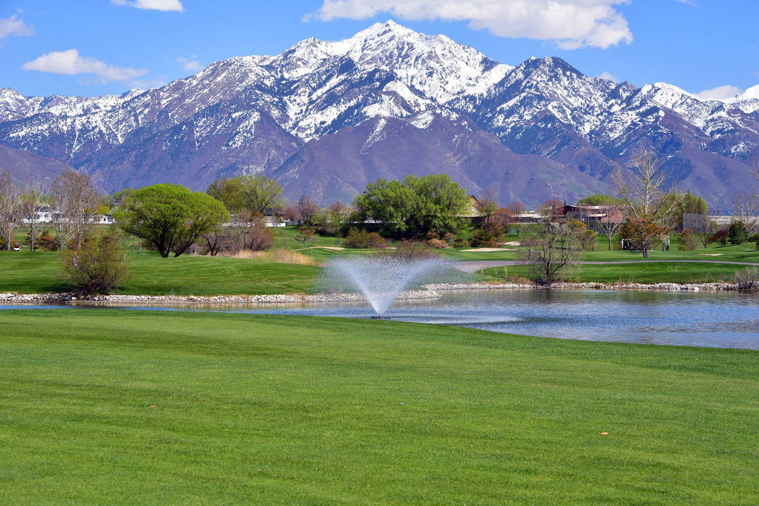 Top or Best Social Media Design Agencies and Companies in Murray, Utah