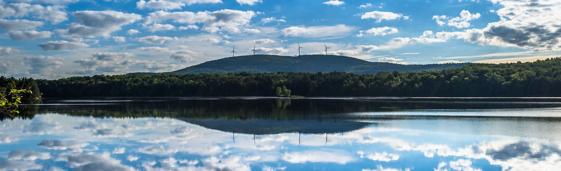 Top or Best YouTube Management Agencies and Companies in Milton, Vermont