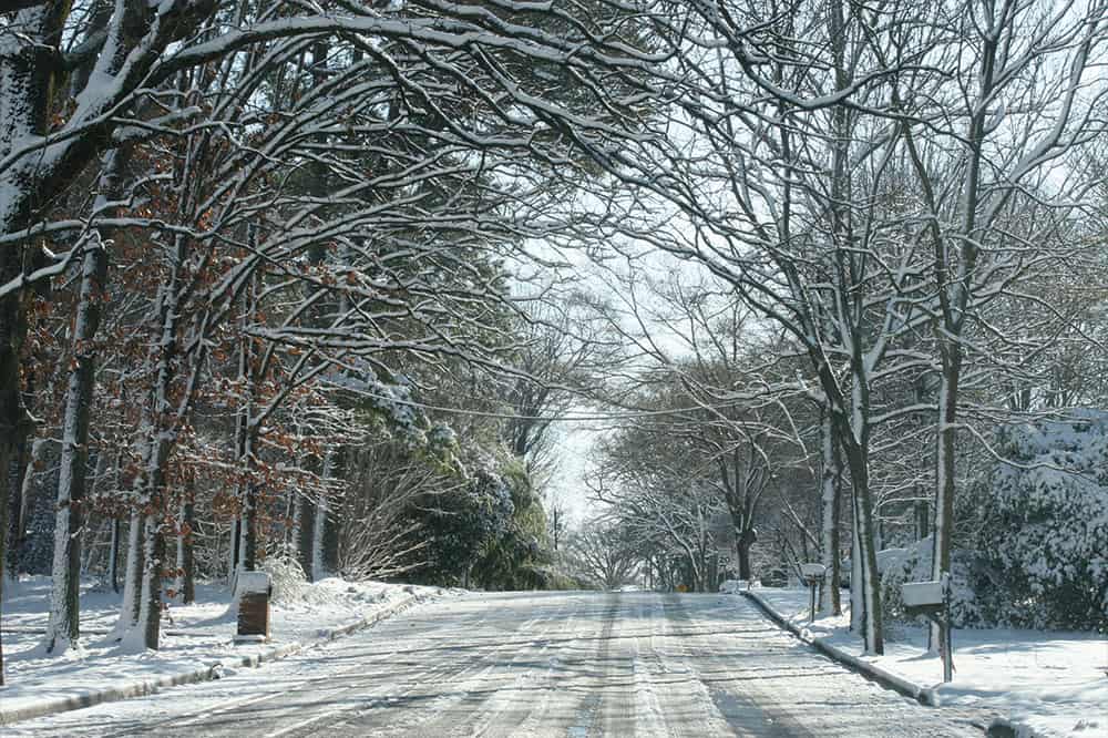 Best or Top Animation & Motion Graphics Agencies and Companies in Olive Branch, Mississippi
