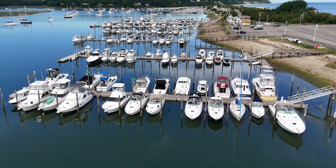 Top or Best Infographic Design Agencies and Companies in Brookhaven, New York