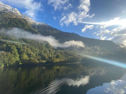 Top 5 Flyer Design Agencies in New Zealand