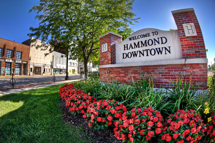 Top or Best Graphic Design Agencies and Companies in Hammond, Indiana