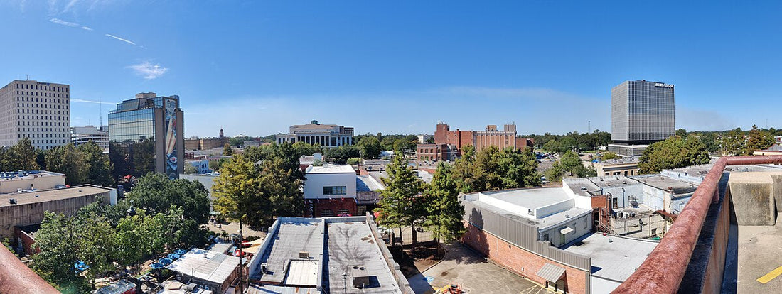 Top or Best NFT Art Agencies and Companies in Lafayette, Louisiana