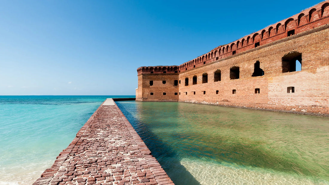 Top or Best Brand Identity Package Agencies and Companies in Daytona Beach, Florida