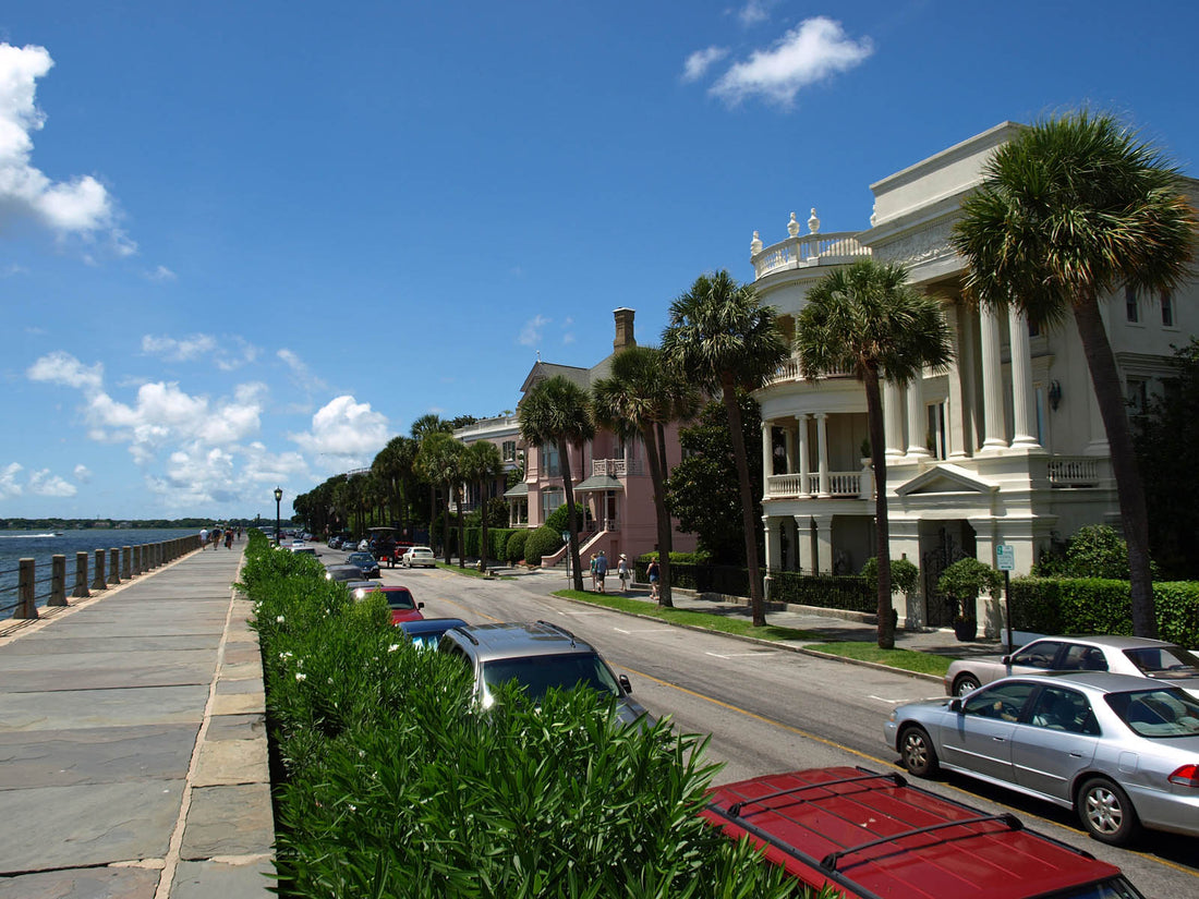 Top or Best Logo Design Agencies and Companies in Charleston, South Carolina