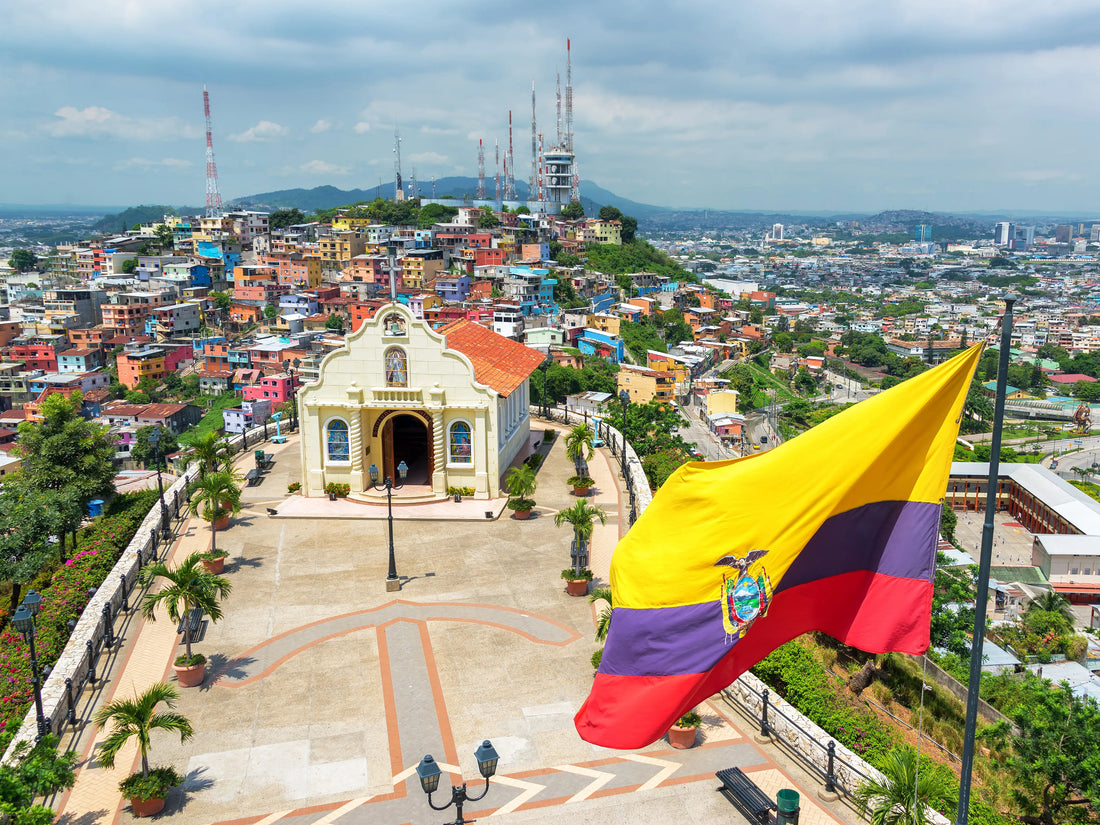 Top or Best Influencer Brand Partnership Agencies and Companies in Ecuador