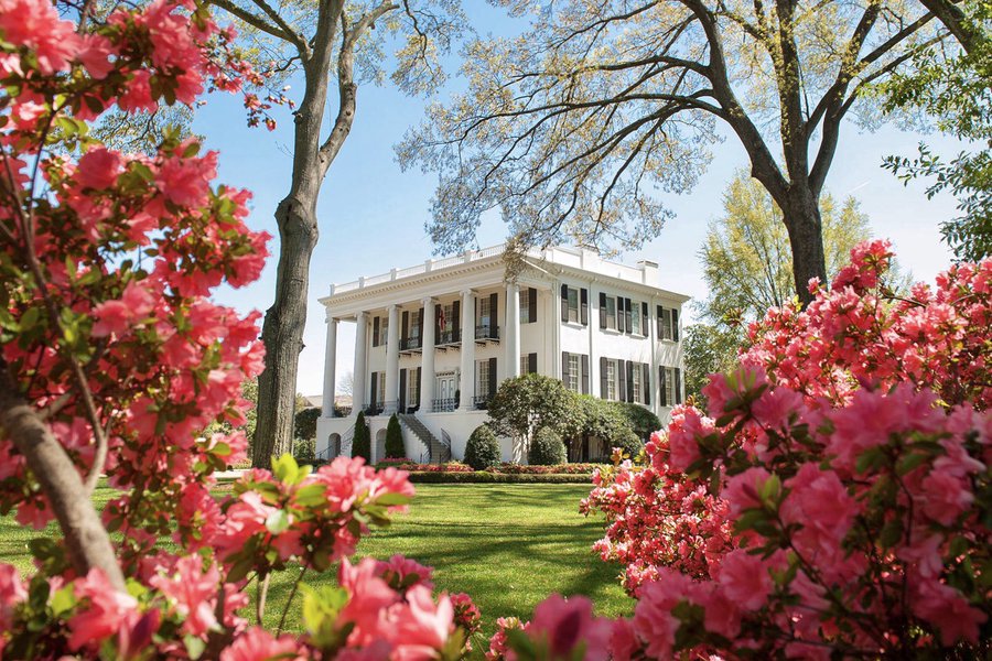 Top or Best Graphics for Streamers Agencies and Companies in Spanish Fort, Alabama