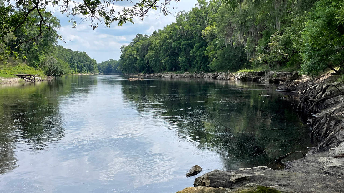 Best or Top AR Filters & Lenses Agencies and Companies in Madison, Mississippi