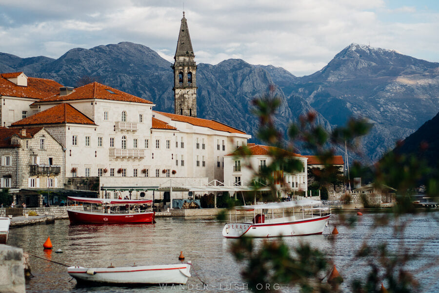 Montenegro: Best Twitch Management Companies