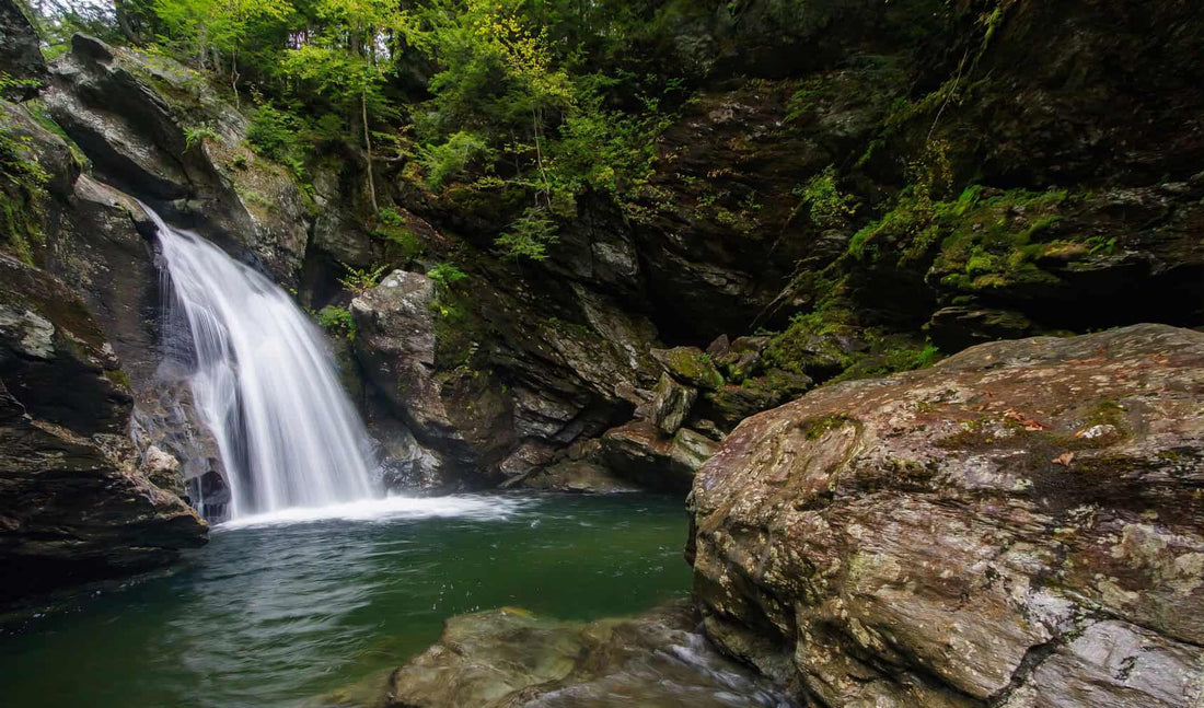 Top or Best Cartoons &amp; Comics Agencies and Companies in Essex, Vermont