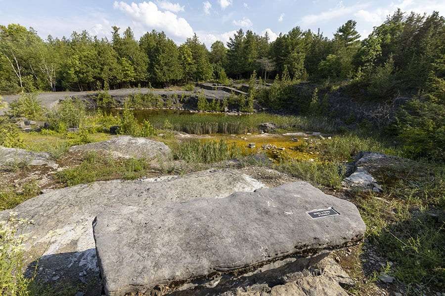 Top or Best Mural Design Agencies and Companies in Essex, Vermont