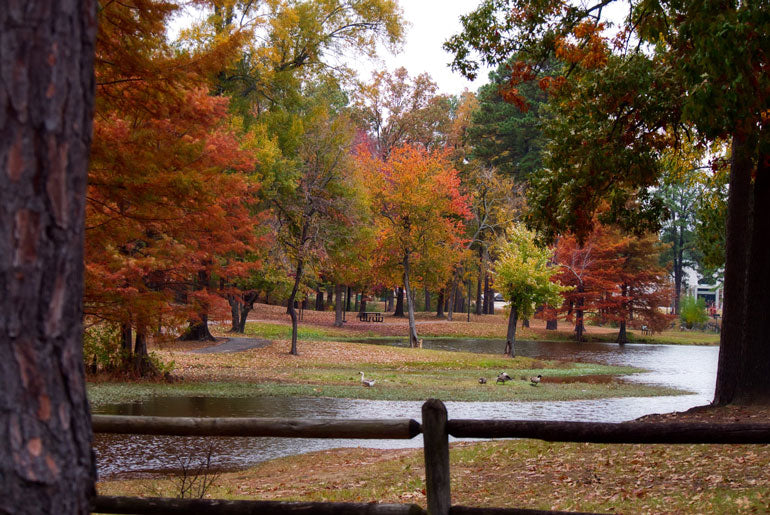 Top or Best Email Campaign Design Agencies and Companies in Texarkana, Arkansas