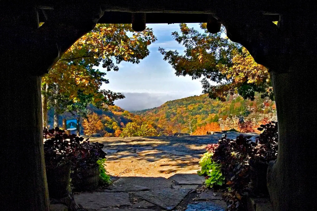 Top or Best Direct Mail Design Agencies and Companies in Texarkana, Arkansas