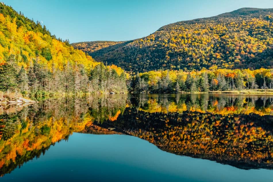 Top or Best Facebook Management Agencies and Companies in Bedford, New Hampshire