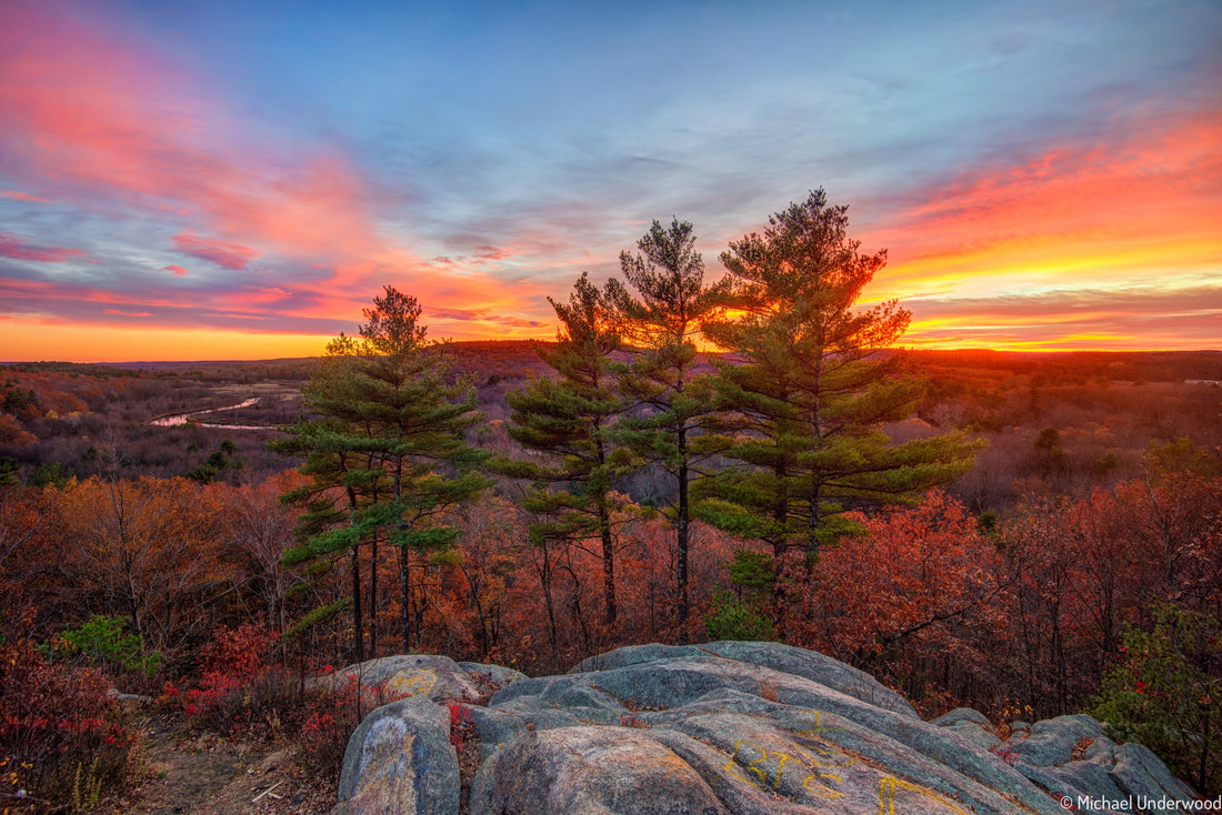 Top or Best Menu Design Agencies and Companies in Fall River, Massachusetts