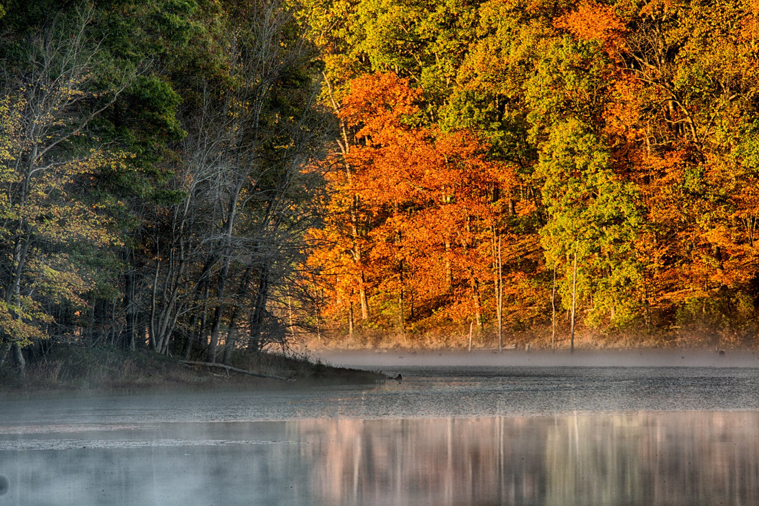 Top or Best Email Campaign Design Agencies and Companies in Martinsburg, West Virginia