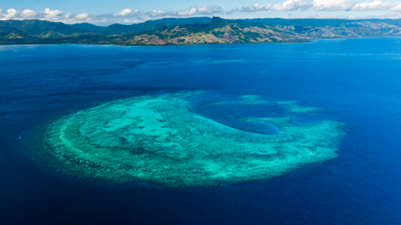 Top or Best Athlete Brand Partnership Agencies and Companies in Fiji
