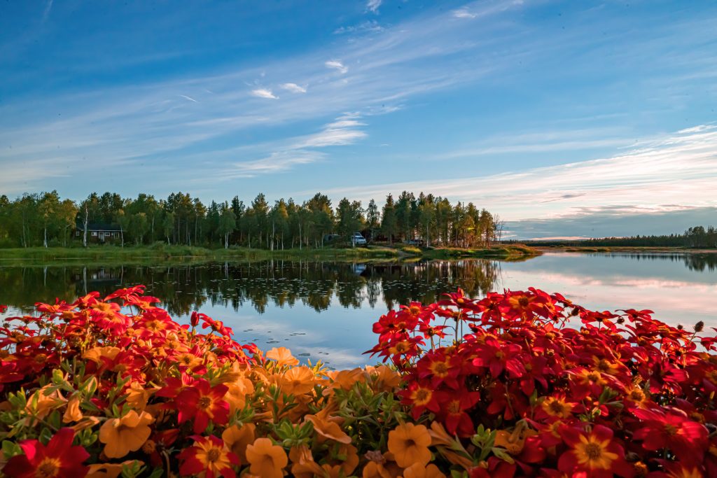 Top 5 Tattoo Design Agencies in Finland