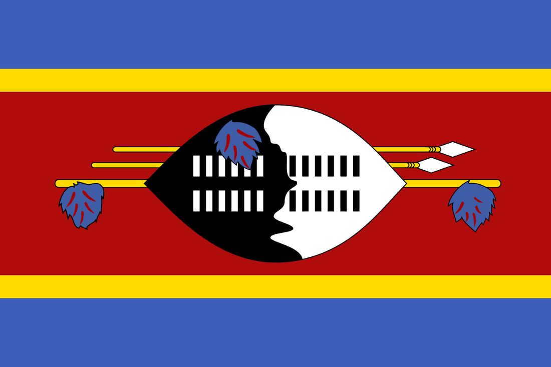 Top LinkedIn Management Companies in Eswatini (formerly Swaziland)