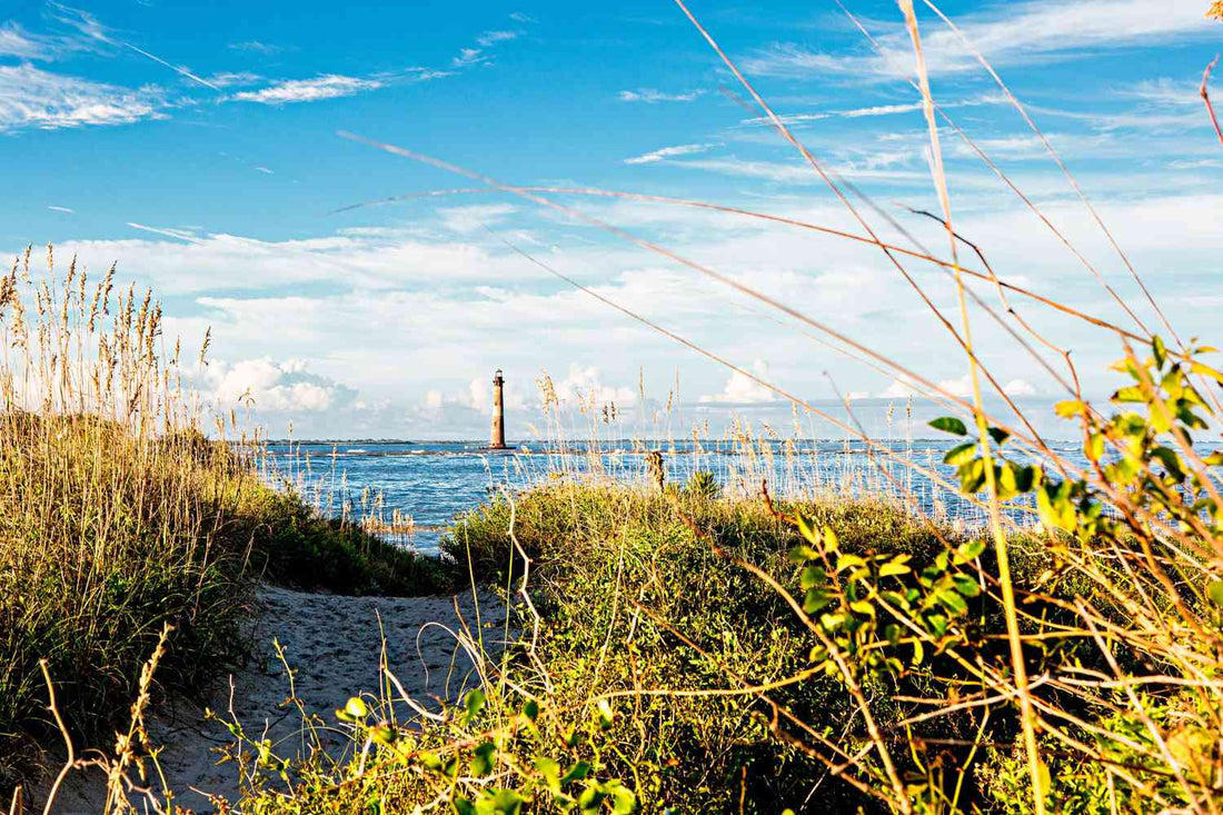 Best X (Twitter) Management Companies in South Carolina