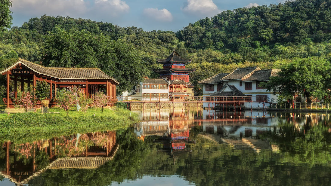 Top or Best Influencer Management Agencies and Companies in Foshan, China