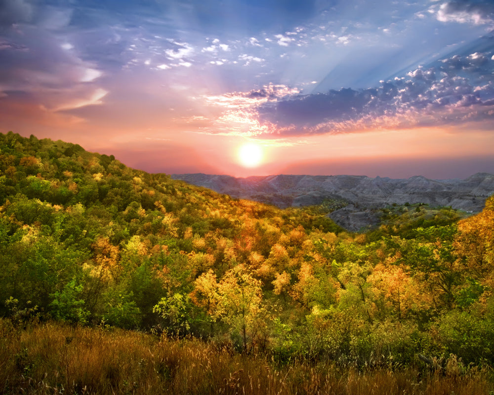 Best X (Twitter) Management Companies in North Dakota