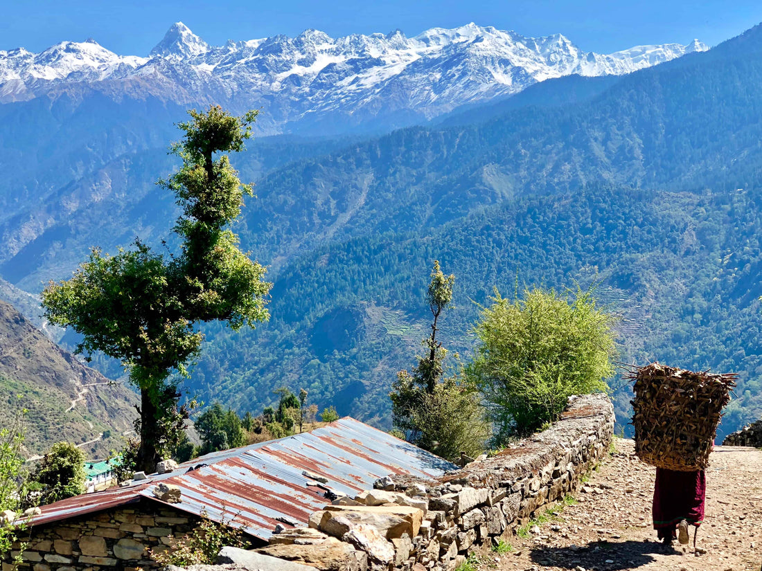 Top or Best Custom Graphics for Videos Agencies and Companies in Vadodara, India