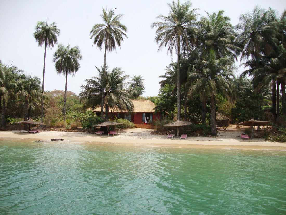 Top 5 Catalog Design Agencies in Guinea-Bissau