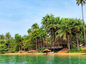 Top Brochure Design Agencies in Guinea-Bissau